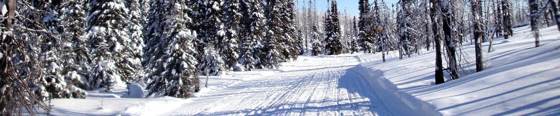 dallaire_header_3.jpg